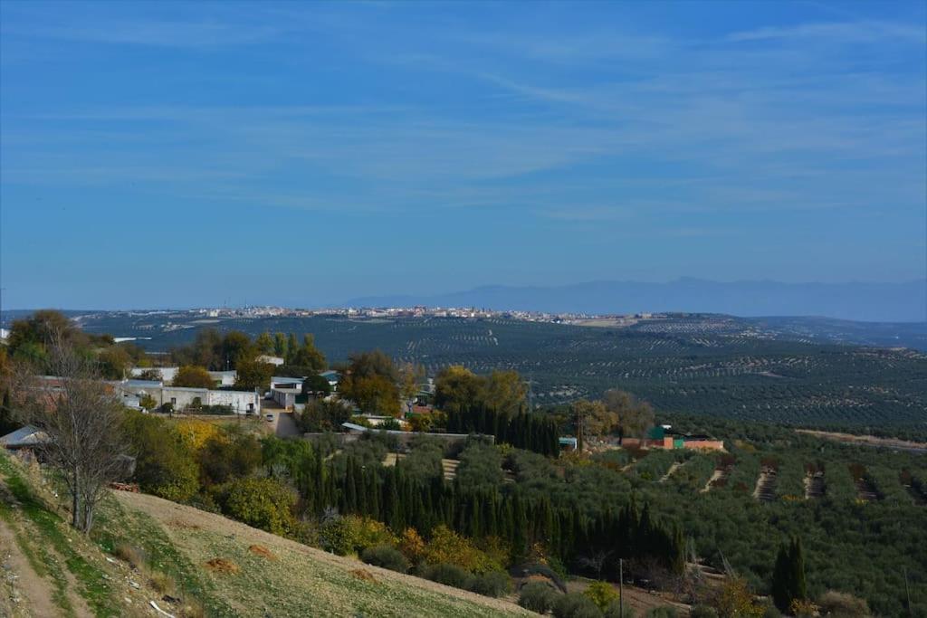 Mirador Del Guadalquivir Lägenhet Baeza Exteriör bild